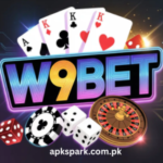 w9 Bet game