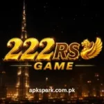 222RS game