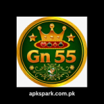 BN55 game