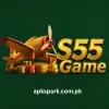 s55 game