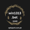 win1313.bet game