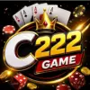 c222 game